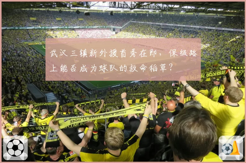武汉三镇新外援首秀在即,保级路上能否成为球队的救命稻草?