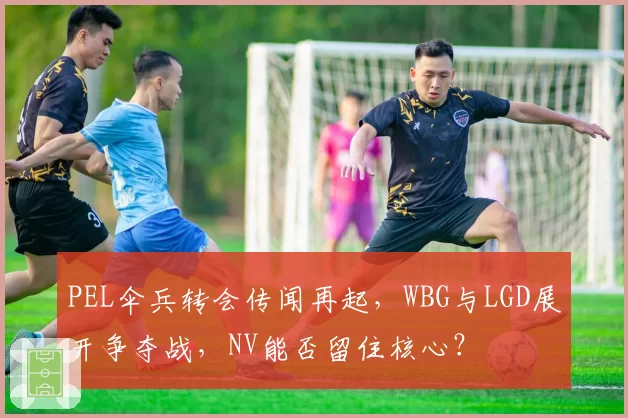 PEL伞兵转会传闻再起，WBG与LGD展开争夺战，NV能否留住核心？